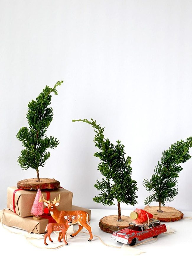 Red Toy Cars With Tiny Christmas Trees