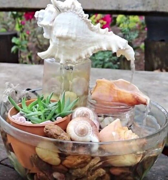Coastal Shells With Living Greenery