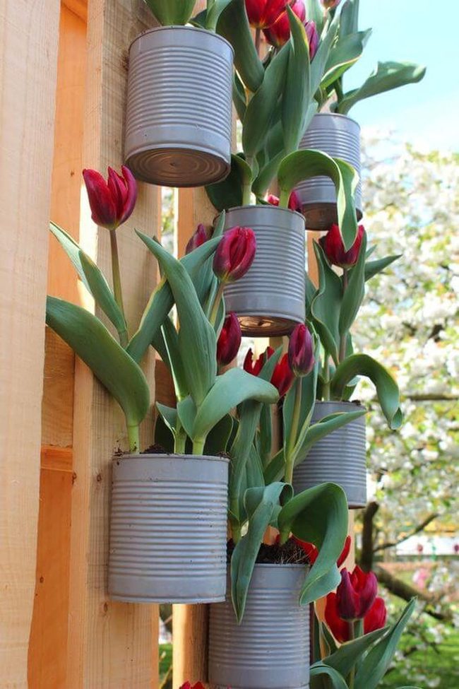 Metallic Cans Growing Vertical Gardens