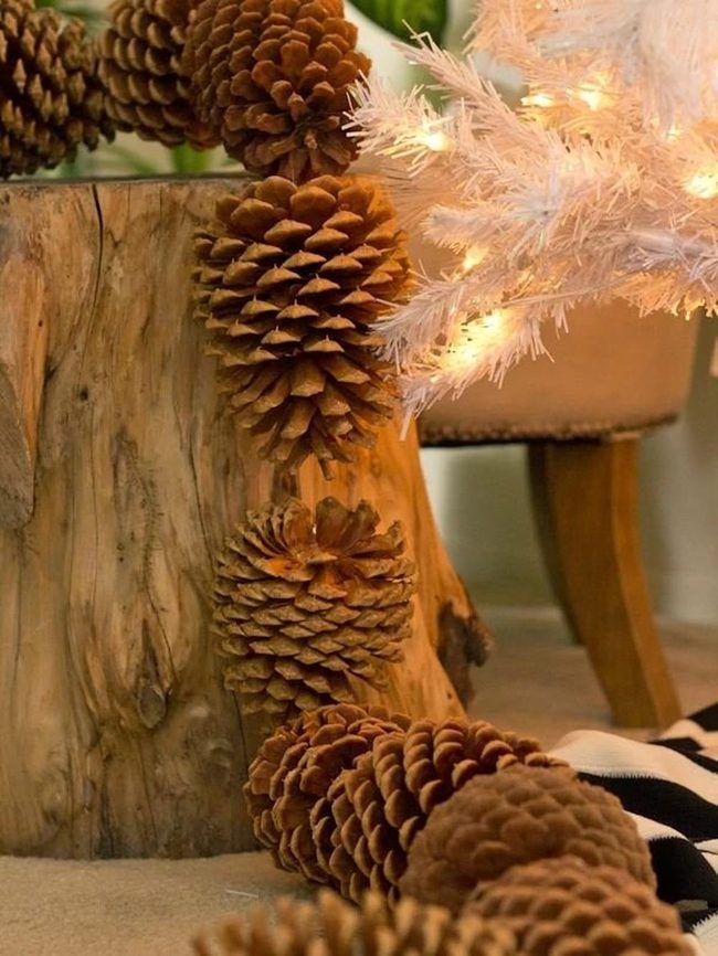 Earthy Pinecones on Twine