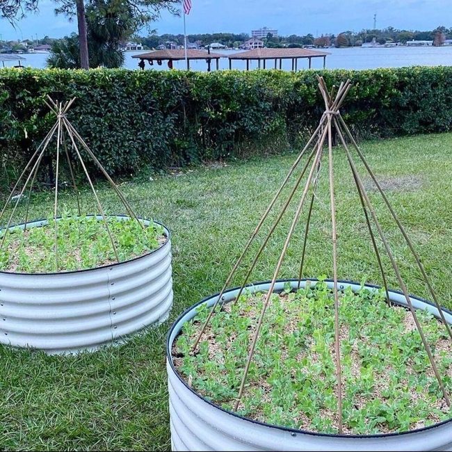 Tall Bamboo Garden Sculpture