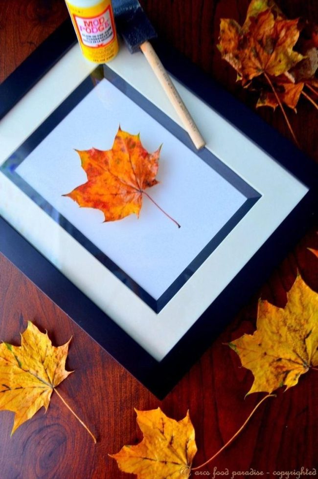 Pressed Autumn Leaves Black Framed