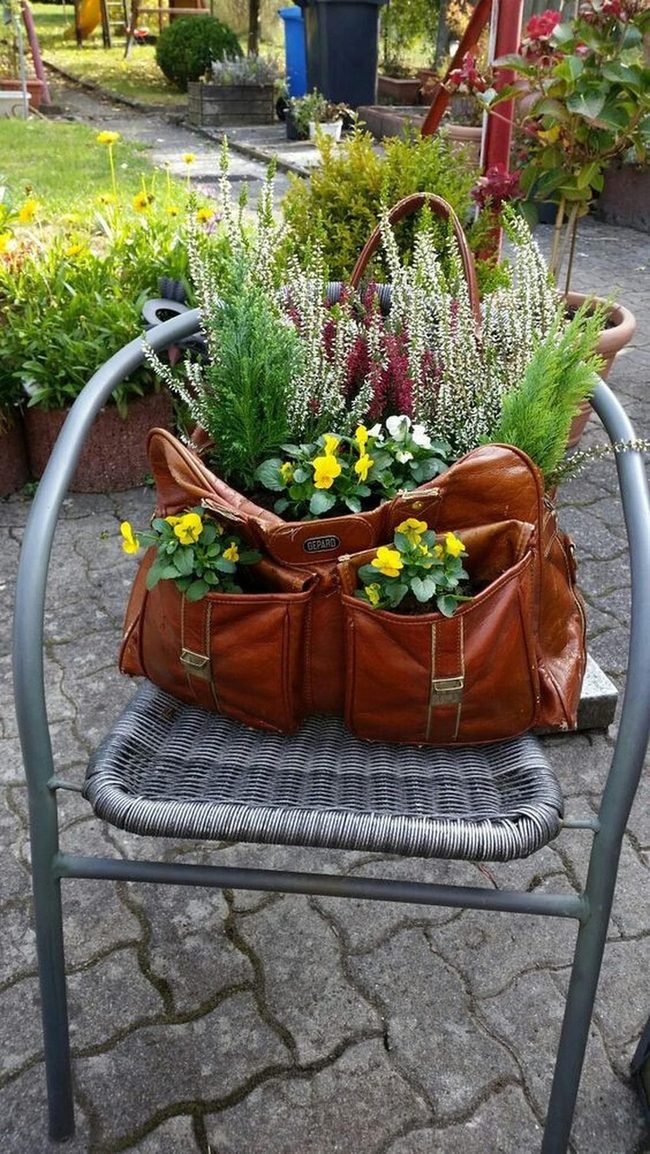 Vintage Chair With Cascading Vines