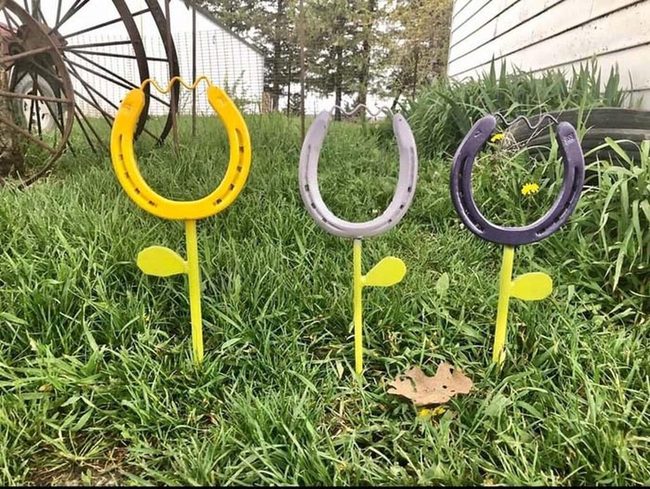 Yellow Horseshoe Tulips Garden