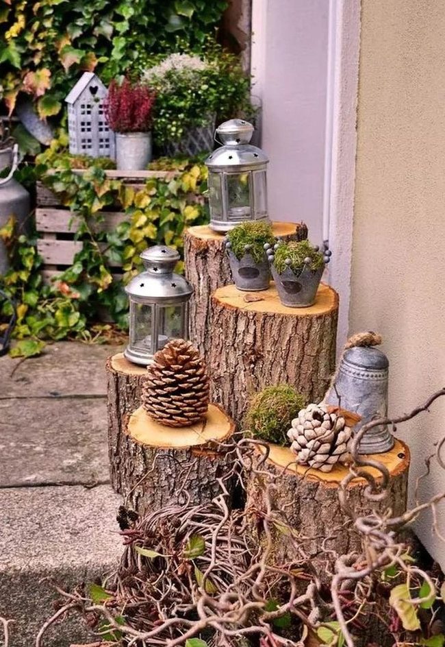 Shadowed Metal Lanterns Among Wooden Stumps