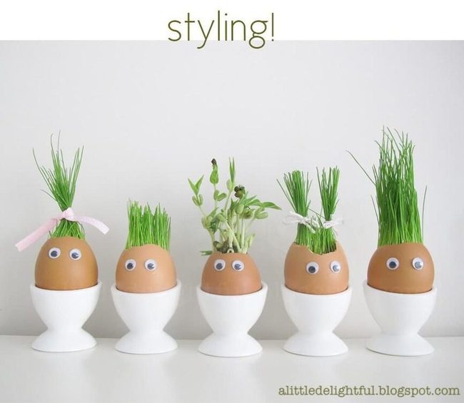 Googly-Eyed Sprouting Egg Shells