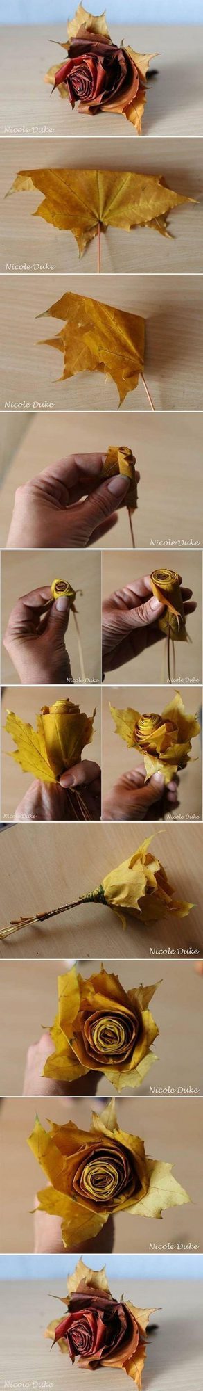 Crimson Paper Roses Fall Leaves