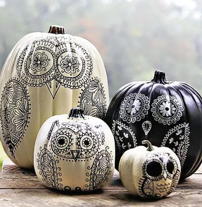 Black And White Owl Pumpkins