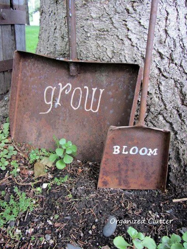 Weathered Tools Among Blooming Beds