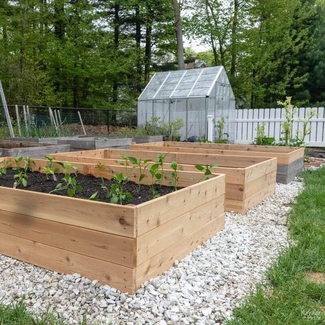 Natural Wood Garden Boxes