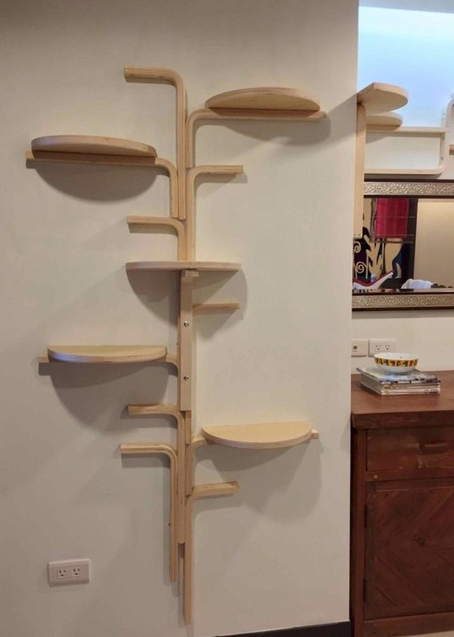 Wooden Branches Hold Floating Leaves