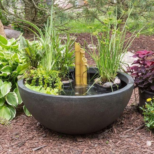 Black Pond Bamboo Garden