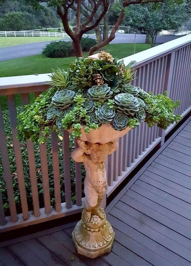 Succulents Cascading Over Classical Cherub