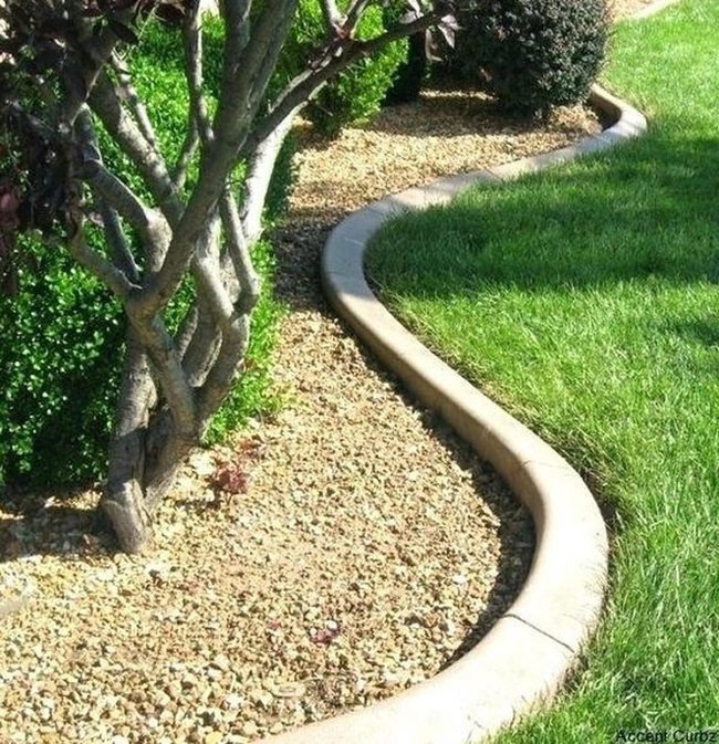 Stone Path Through Living Green