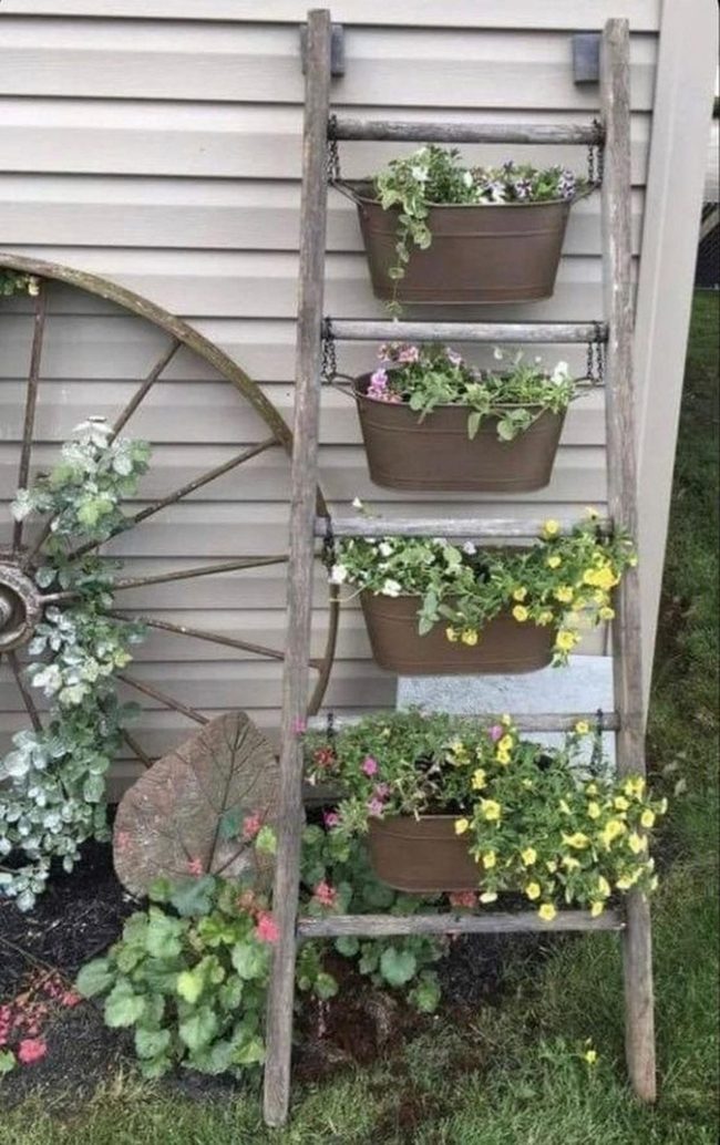 Wooden Ladder With Blooming Planters