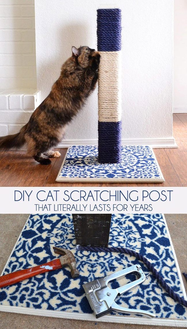 Bright Blue Rope Cat Posts