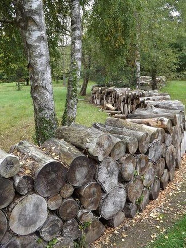 Weathered Log Boundary Design