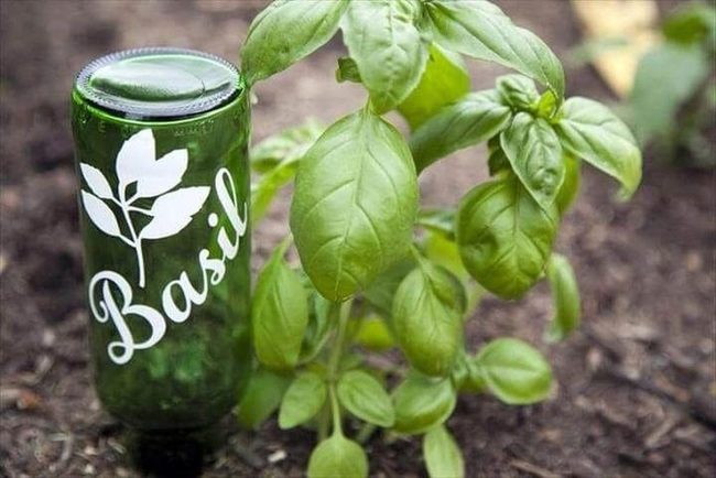 Recycled Glass Plant Markers