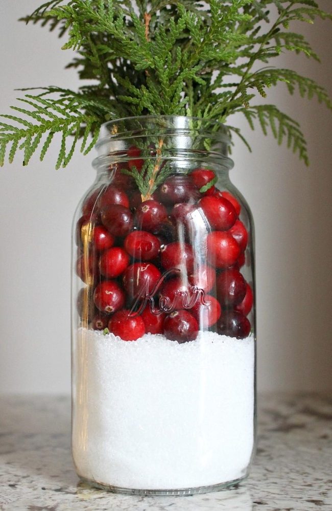 Red Berries Through Clear Glass