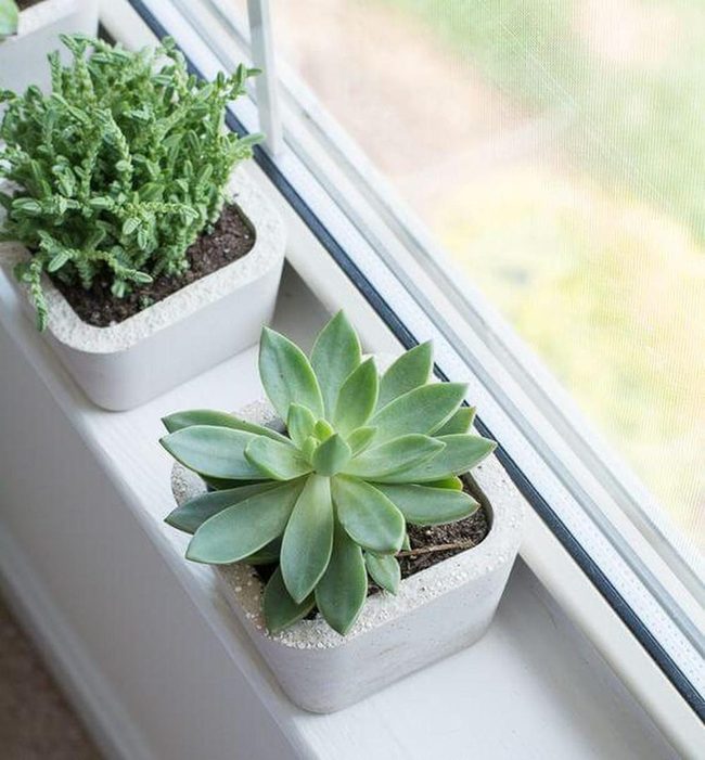 Minimalist Geometric Plant Containers