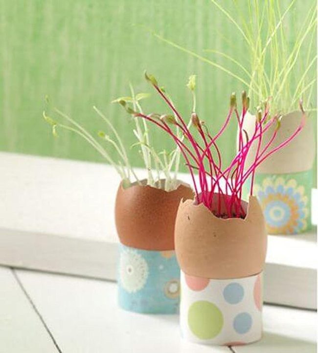 Eggshell Planters Spring Centerpiece