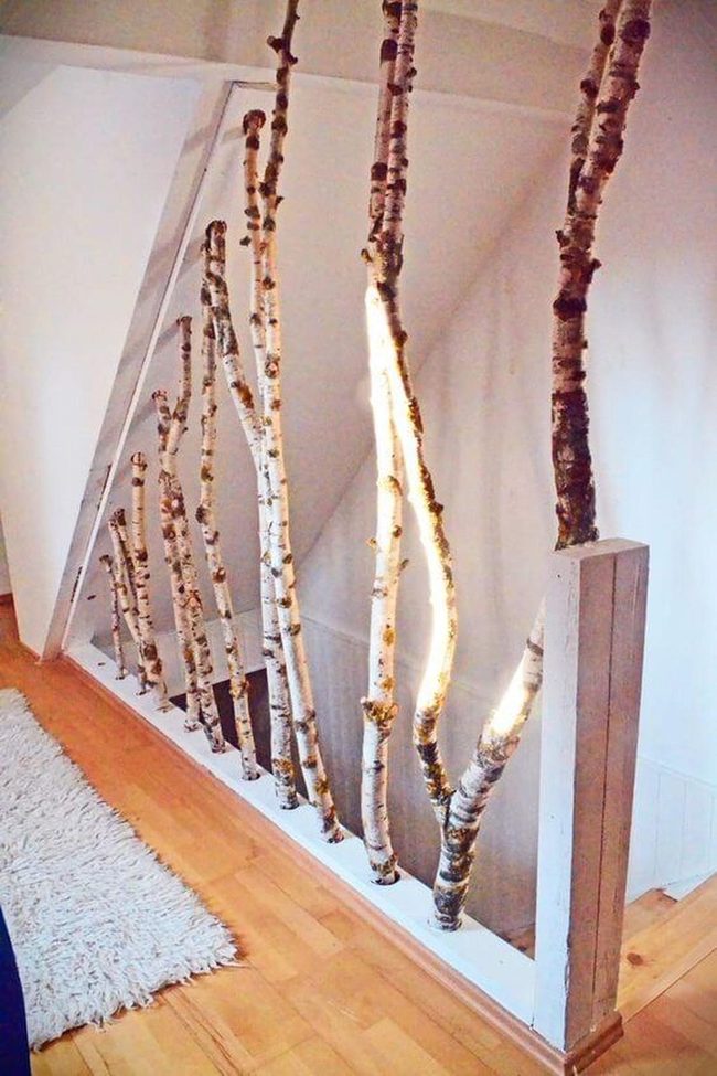 Illuminated Branches Cast Living Shadows