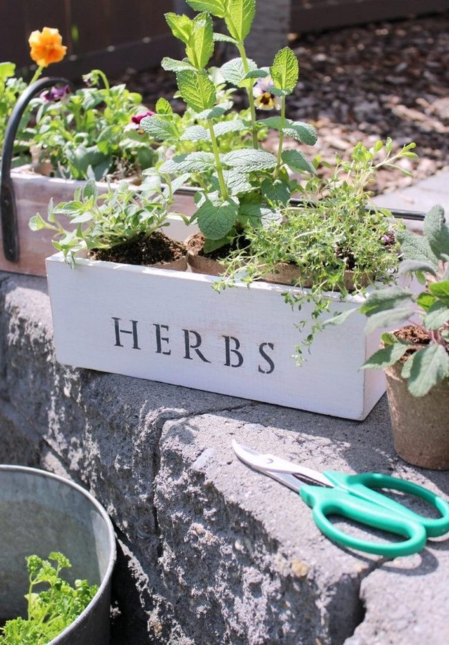 Weathered Metal Herb Container