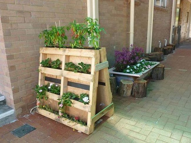 Green Blooms On Wooden Pallets