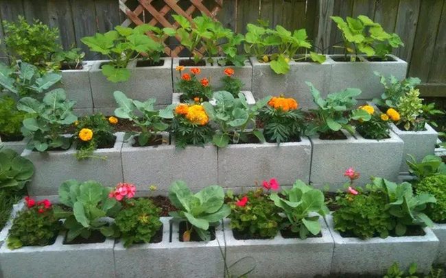 Cinder Block Garden Structure