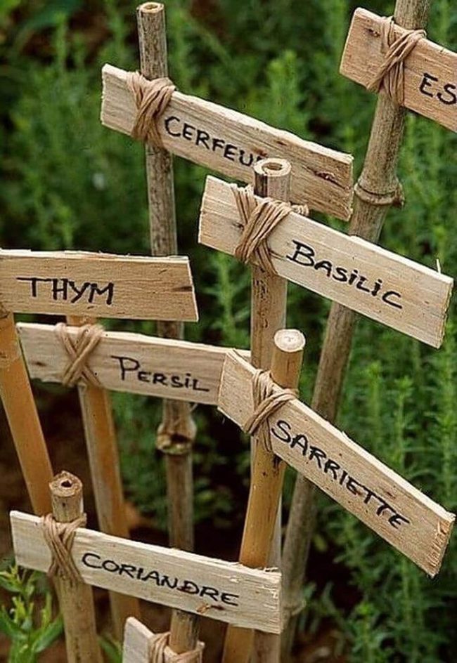 Hand-Lettered Wood Herb Markers