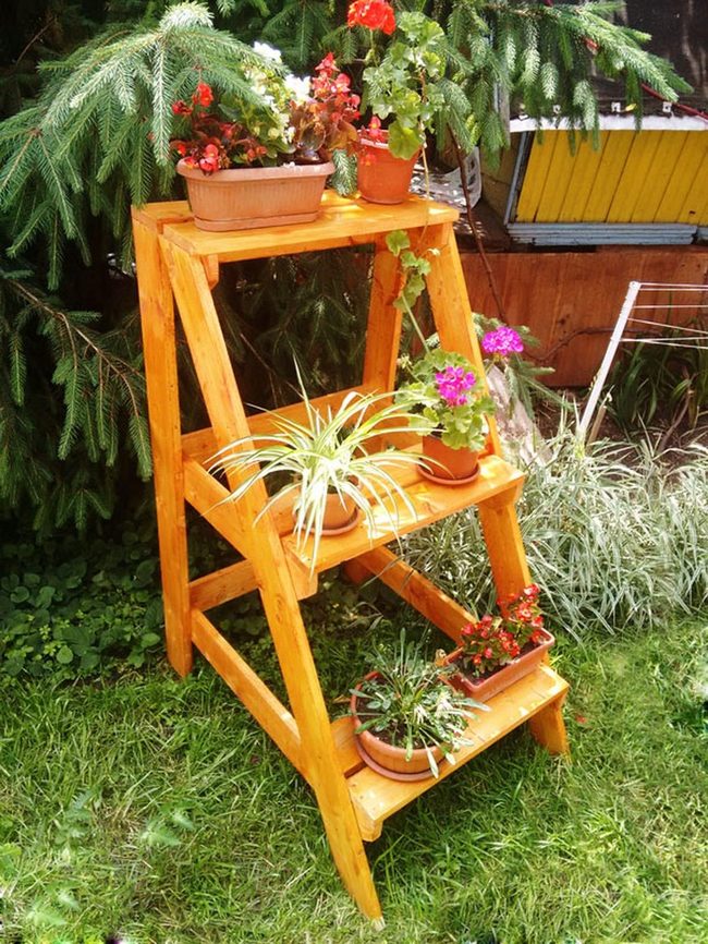 Wooden Tiers Of Living Color