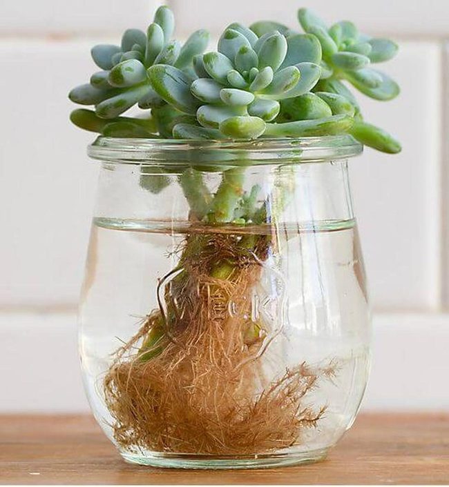 Living Water Garden Desktop