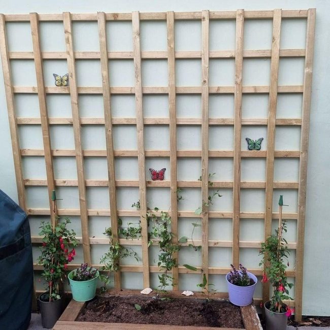 Wooden Slats Growing Upward
