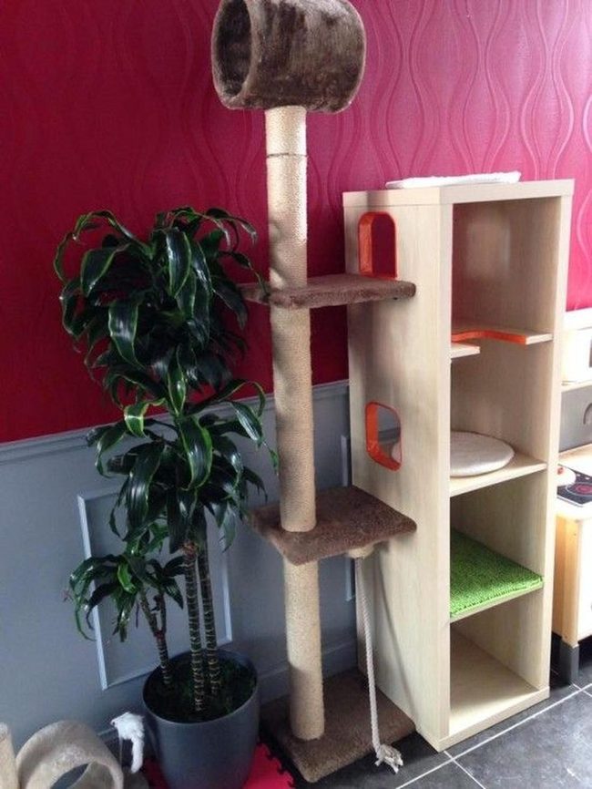 Wooden Cat Trees In Beige And Gray