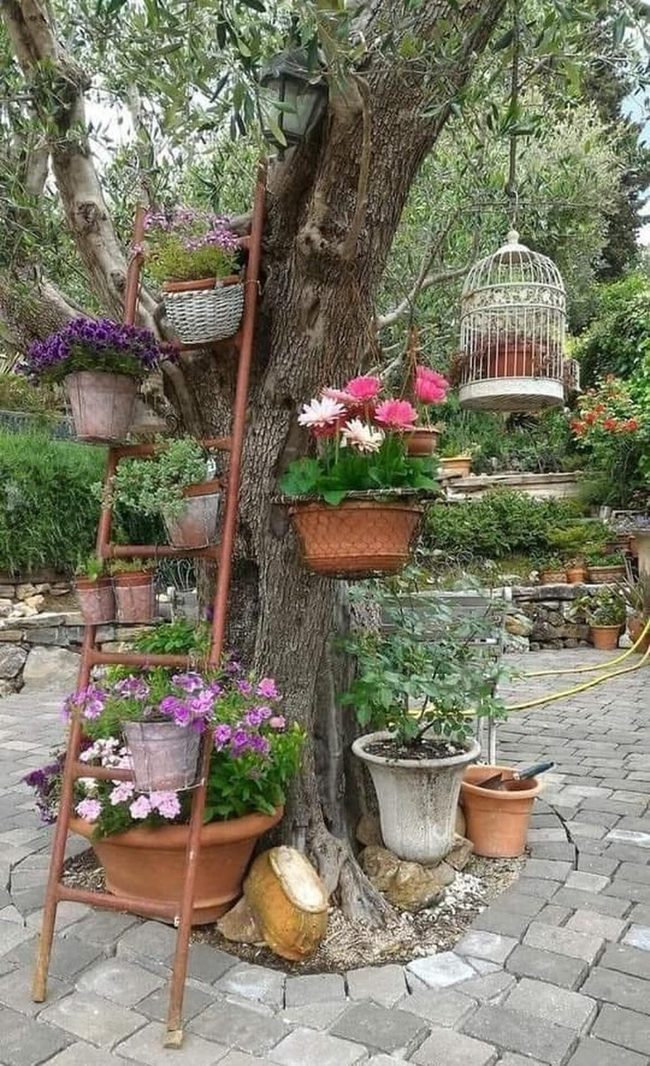 Purple Blooms On Rusty Ladder