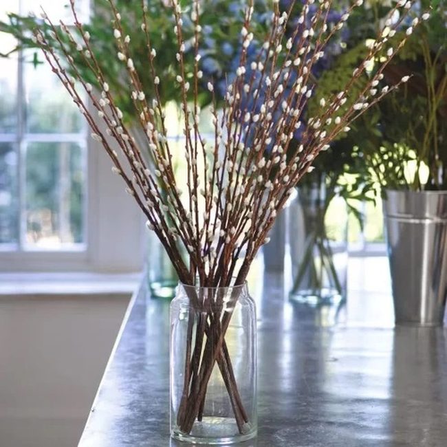 Soft Catkins For Mindful Touch