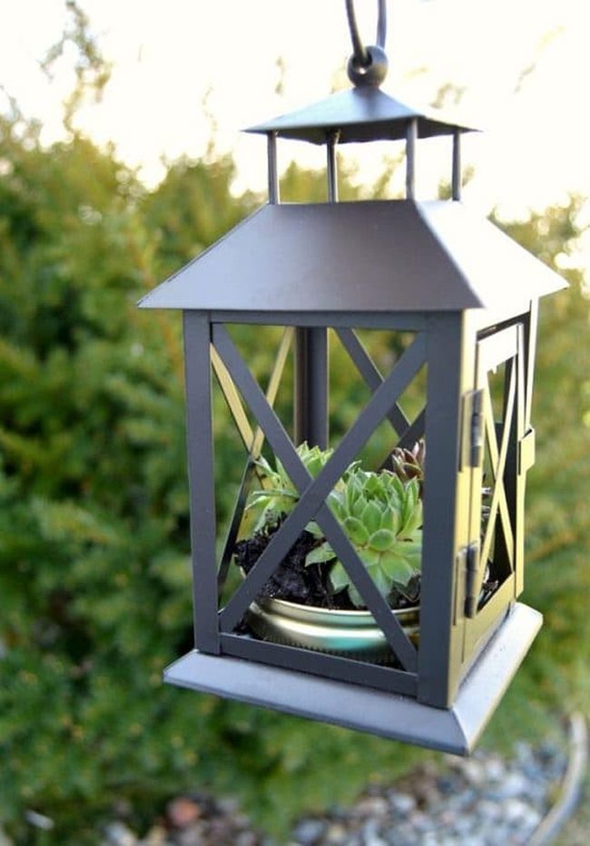 Metal Frame Succulents In Glass