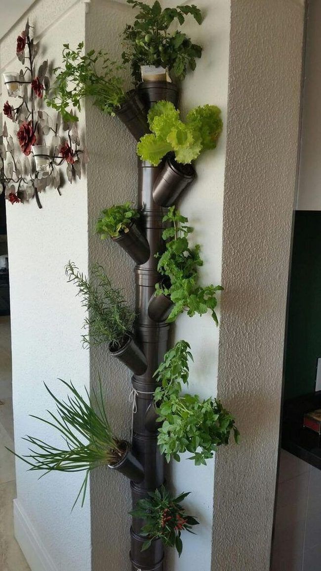 Fresh Herbs In Stacked Towers