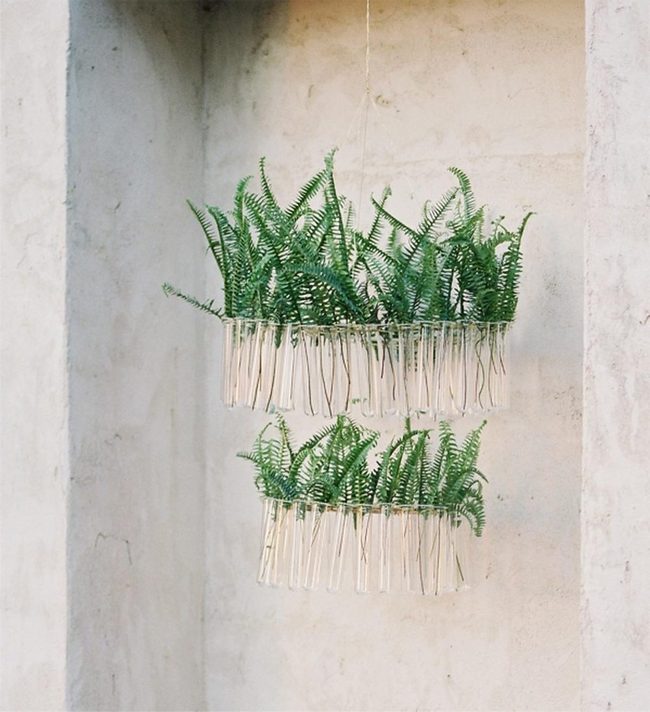 Cascading Ferns In Woven Baskets