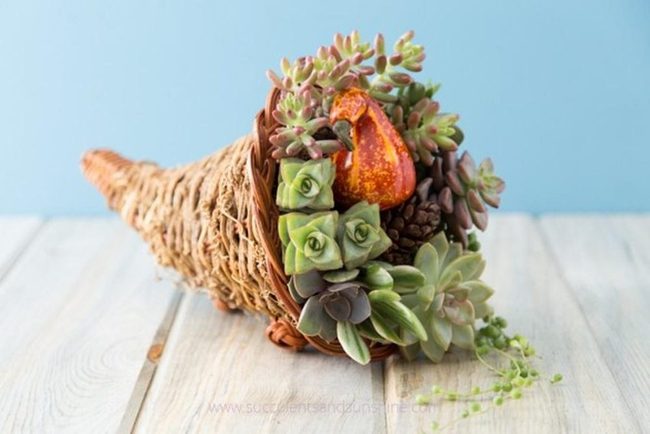 Succulent Baskets With Pumpkin Accents