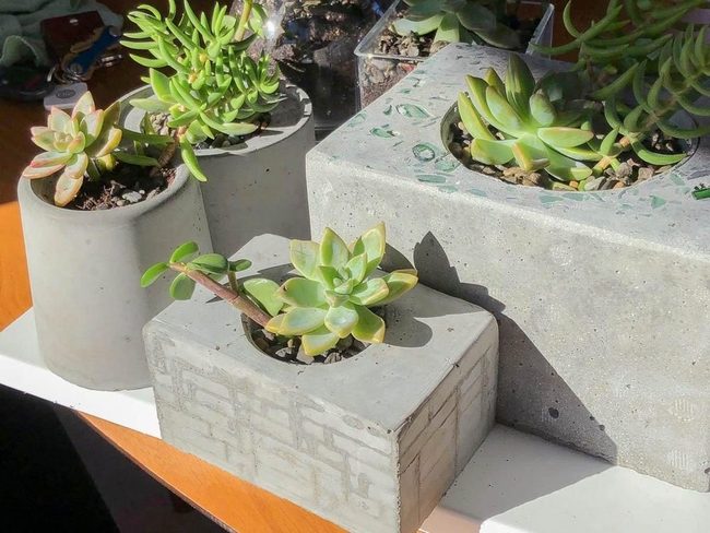 Concrete Pots, Green Succulents, Sculptural Minimalism