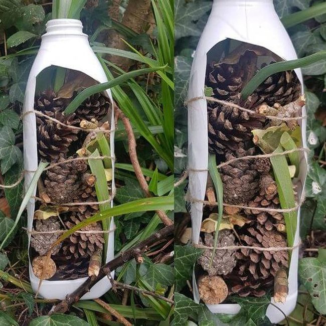 Stacked Pinecones Feed Pollinators