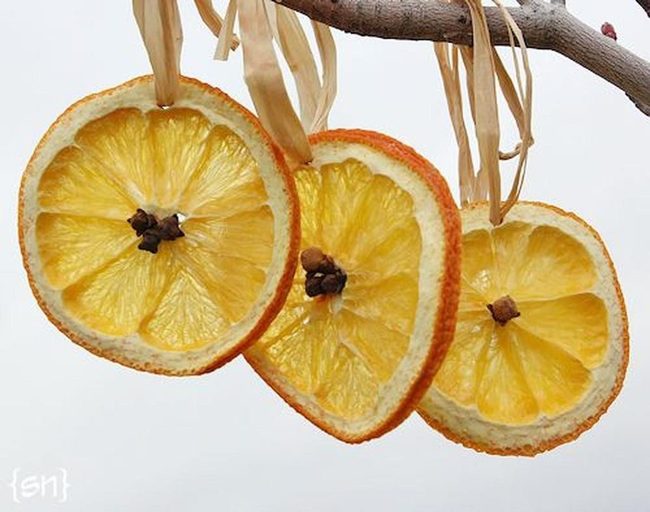Orange Slices With Clove Details
