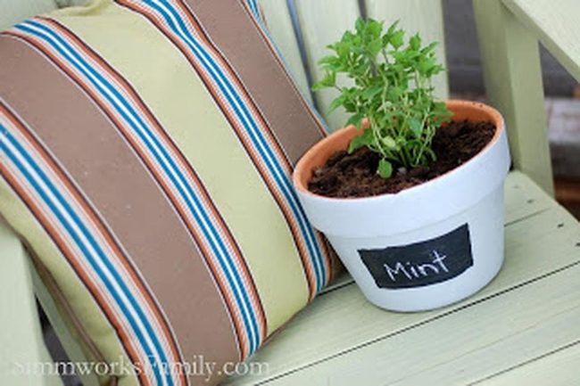 Mint Green Pots Garden