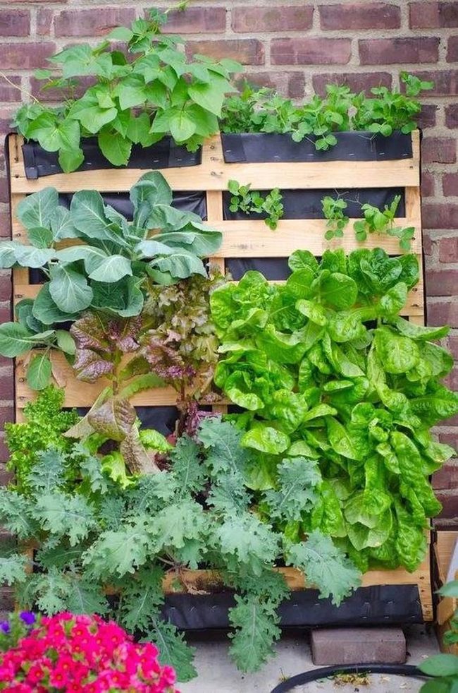 Green Abundance Vertical Pallet Garden