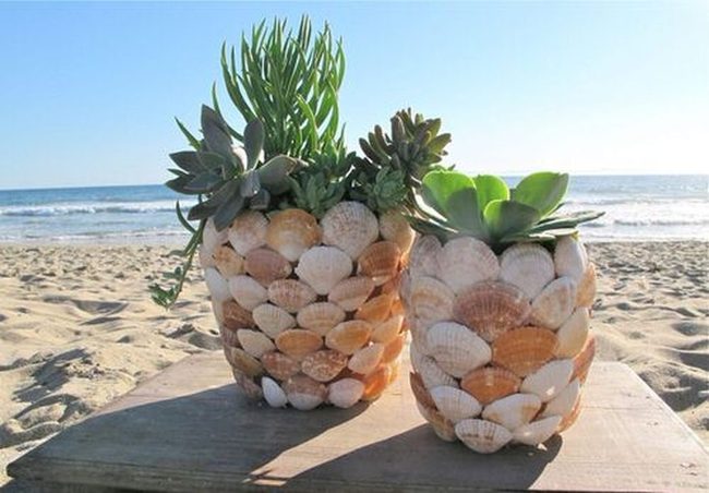 Seashell Wrapped Plant Pots