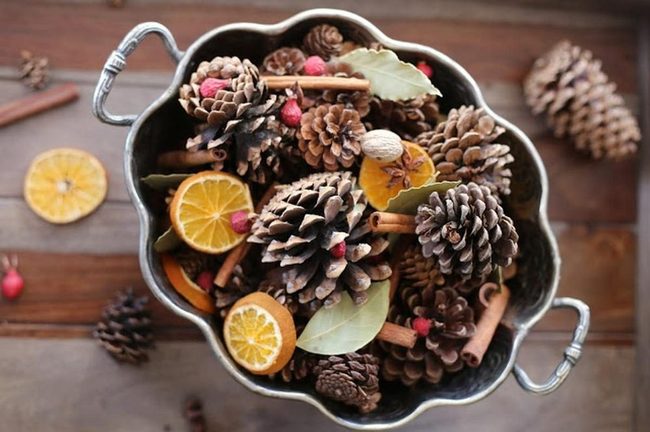 Pinecones Dried Oranges Deep Greens