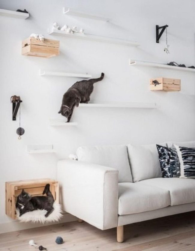 Wooden Crates Cat Climbing Walls