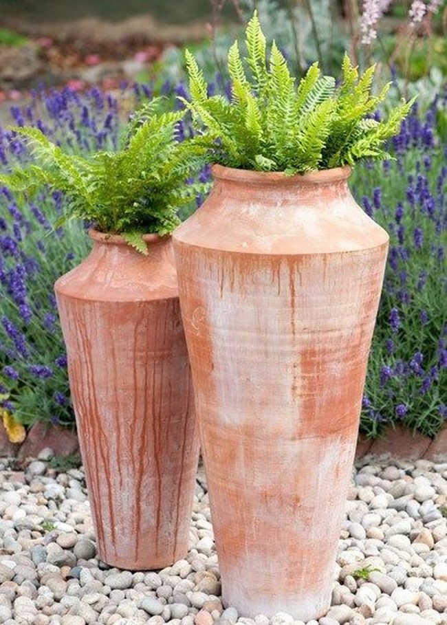 Terracotta Pots And Purple Blooms
