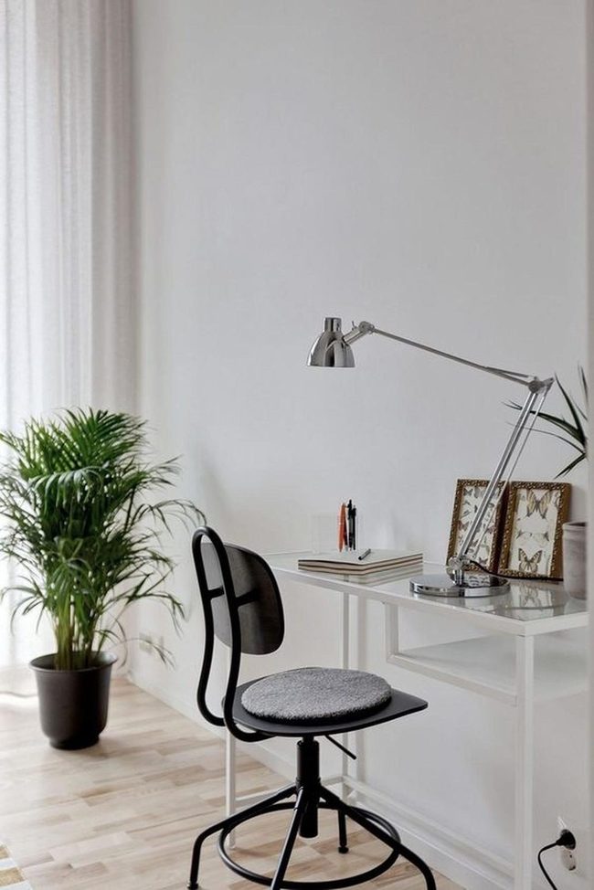 Bright Workspace Green Plant Accent